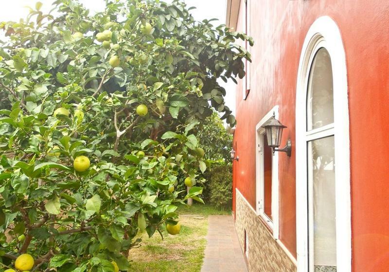 Casa Buganvilla Los Realejos Ngoại thất bức ảnh